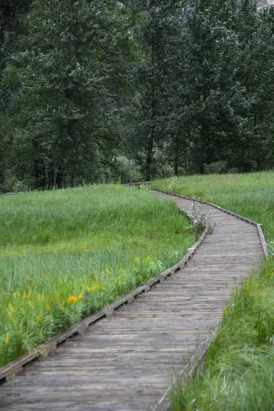 DSC_4642 (Large).JPG